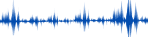 image: vertical lines of varying length depicting the visual representation of an audio recording.