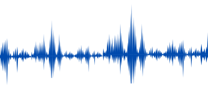 image: vertical lines of varying length depicting the visual representation of an audio recording.