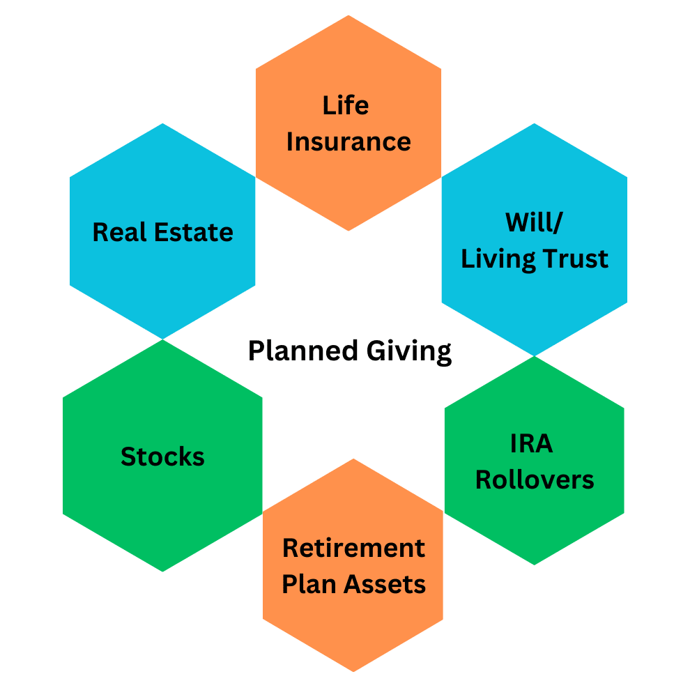 Real Estate Life Insurance Policies Cash Stocks IRA Rollovers Wills or Trusts Retirement Plan Assets